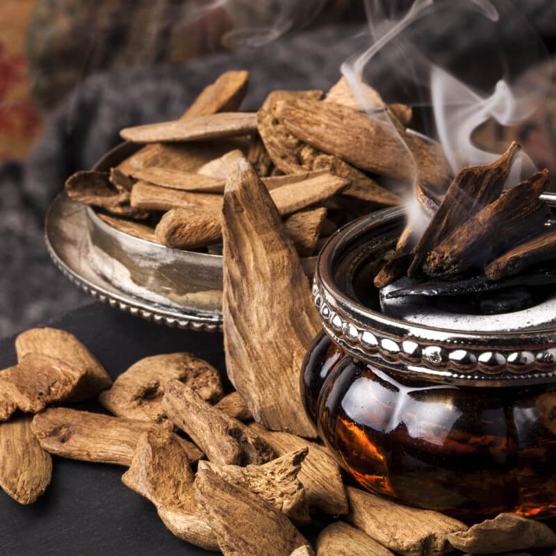 Cuir & Oud