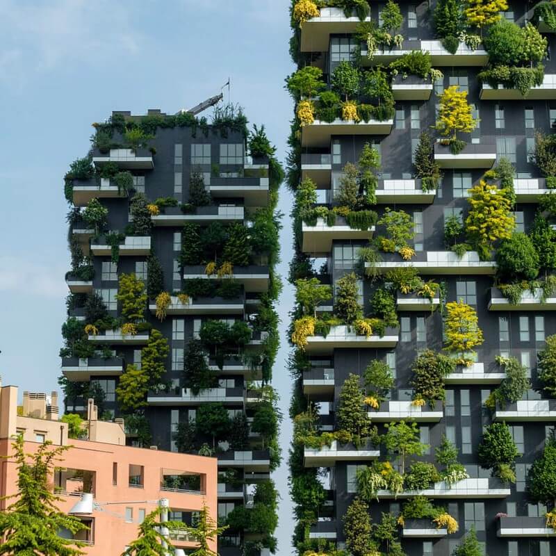 Urban Nature